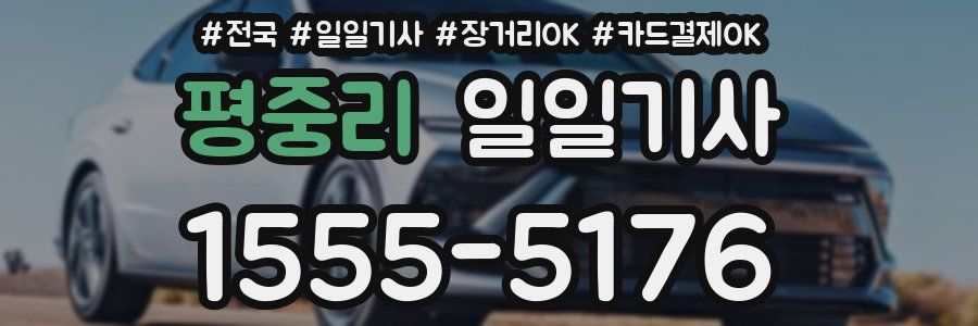 평중리 일일기사