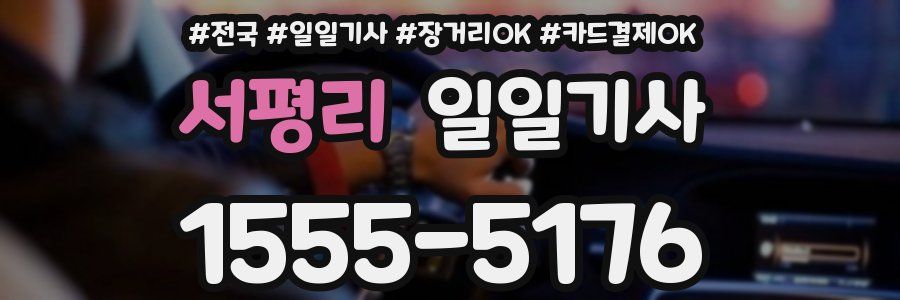 서평리 일일기사