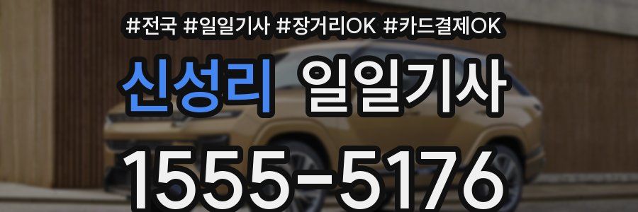 신성리 일일기사