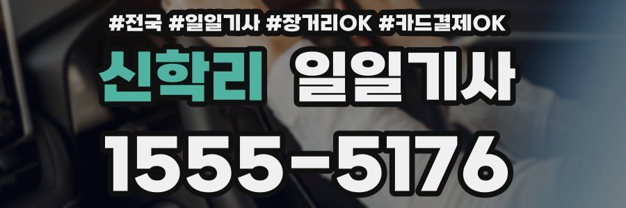 신학리 일일기사