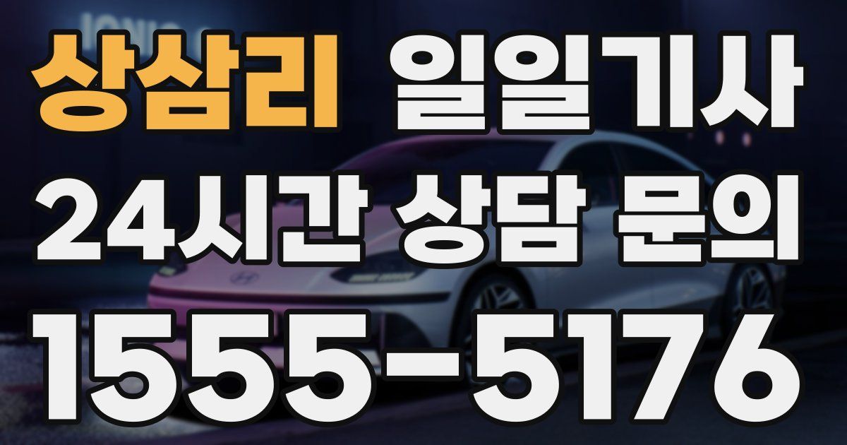 일일대리기사