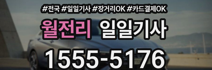 월전리 일일기사