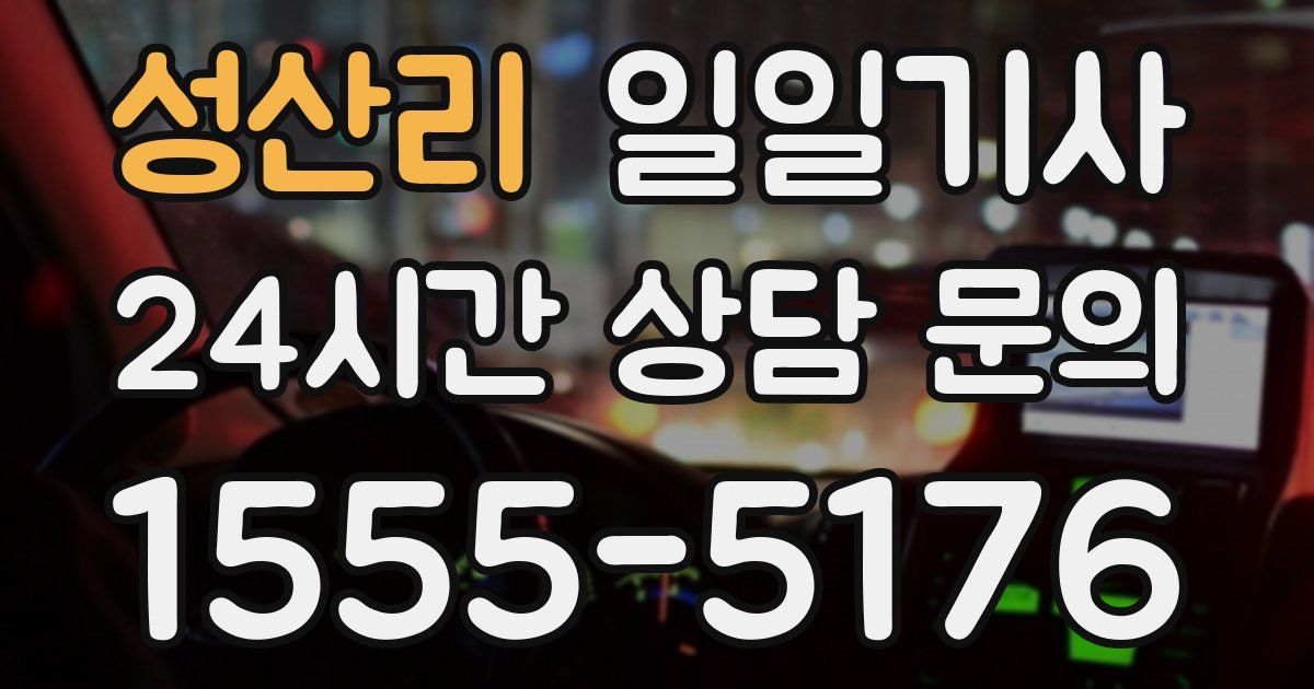 일일대리기사