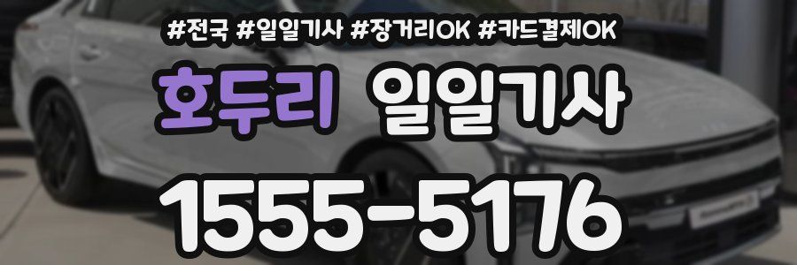 호두리 일일기사