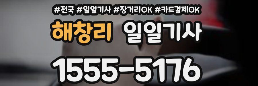 해창리 일일기사