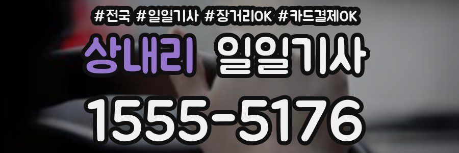 상내리 일일기사