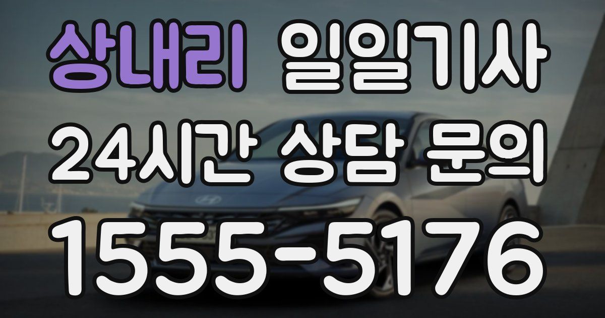 일일대리기사