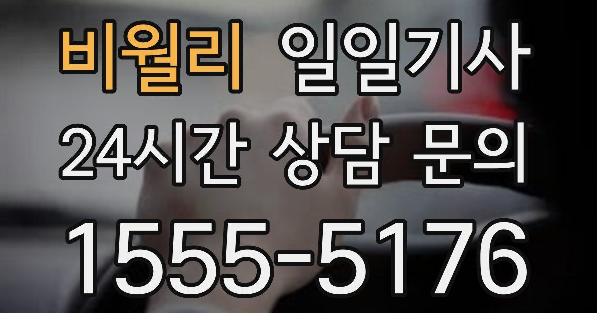일일대리기사
