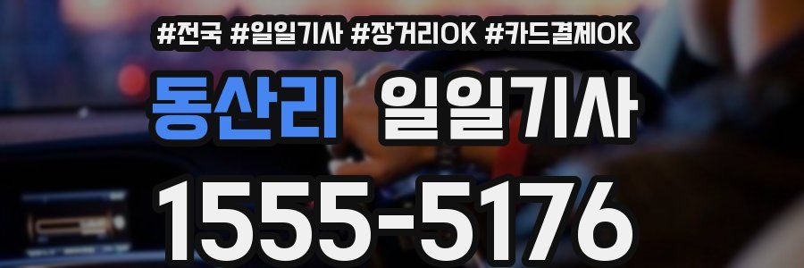 동산리 일일기사