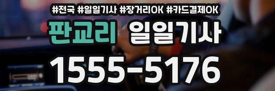 판교리 일일기사