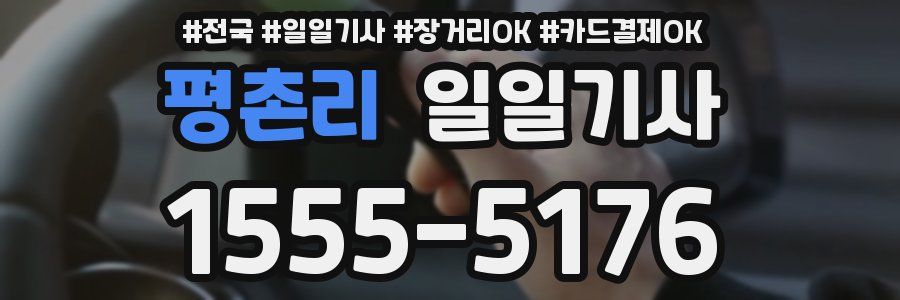 평촌리 일일기사