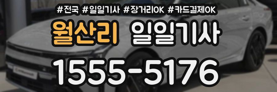 월산리 일일기사