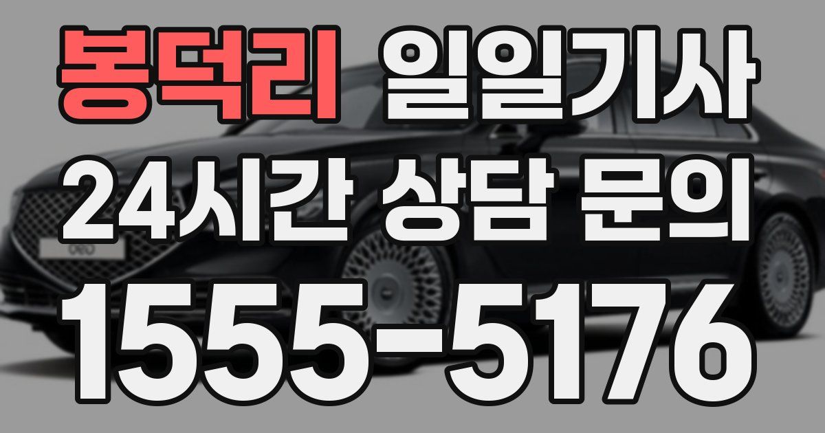 일일대리기사