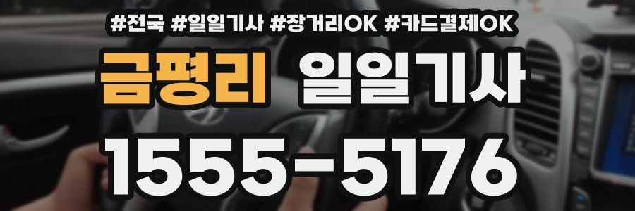 금평리 일일기사