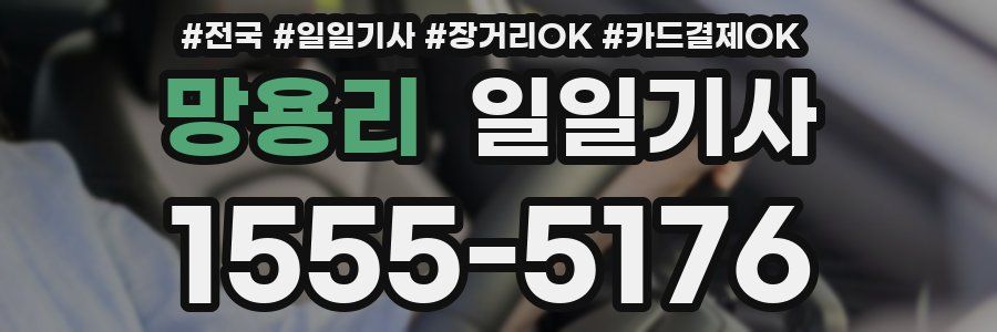 망용리 일일기사