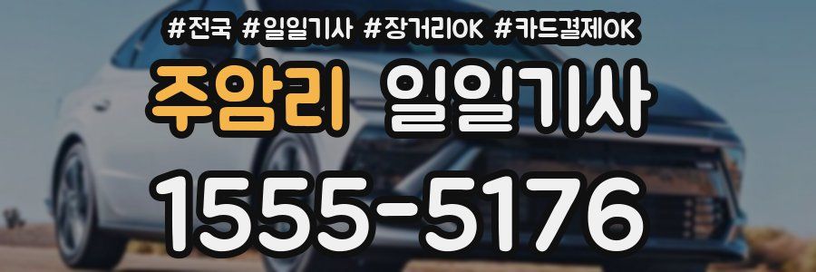 주암리 일일기사