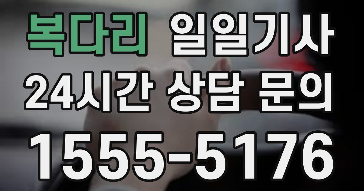 일일대리기사