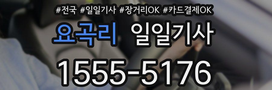 요곡리 일일기사