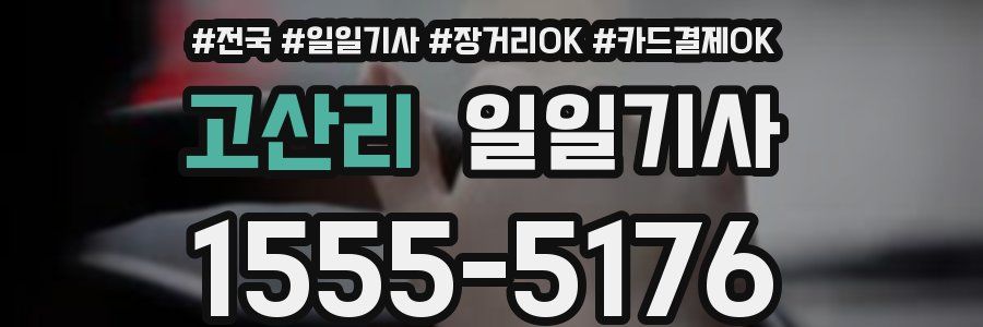 고산리 일일기사