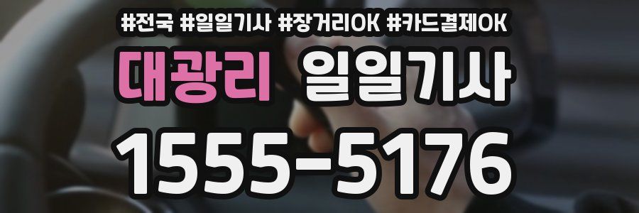 대광리 일일기사