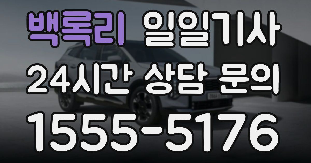 일일대리기사