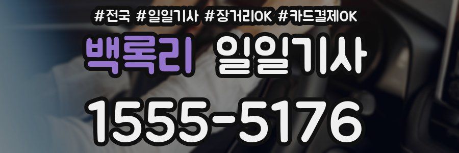 백록리 일일기사