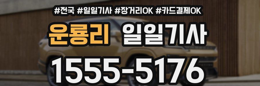 운룡리 일일기사