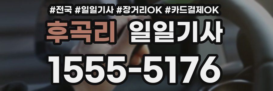 후곡리 일일기사