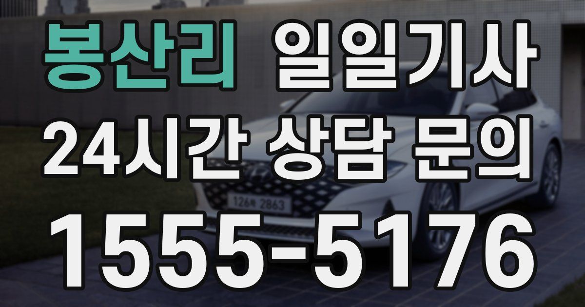 일일대리기사