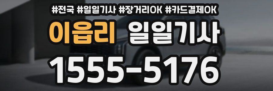 이읍리 일일기사