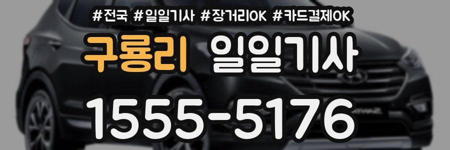 구룡리 일일기사