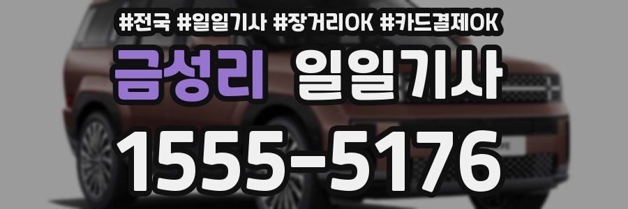 금성리 일일기사