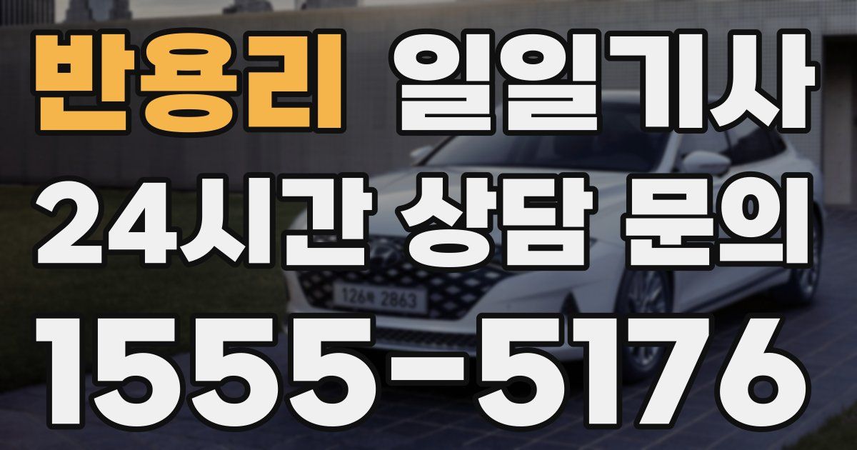 일일대리기사