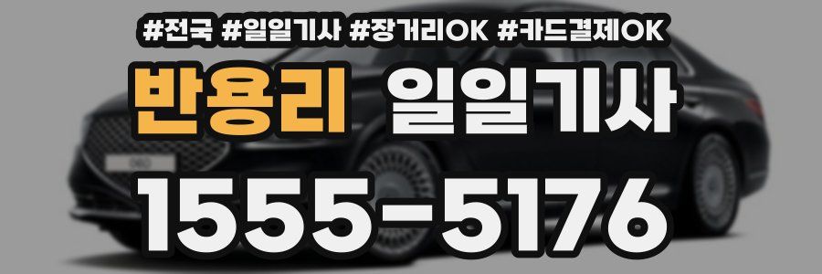 반용리 일일기사