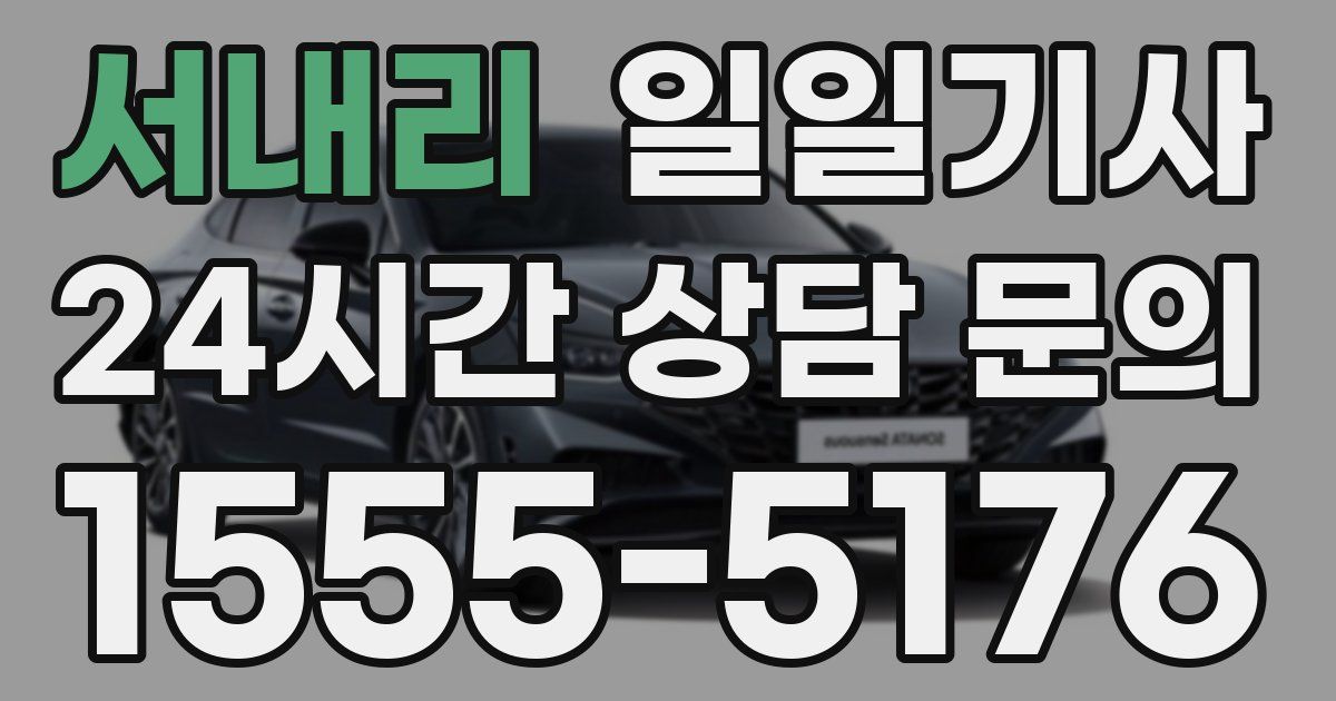 일일대리기사