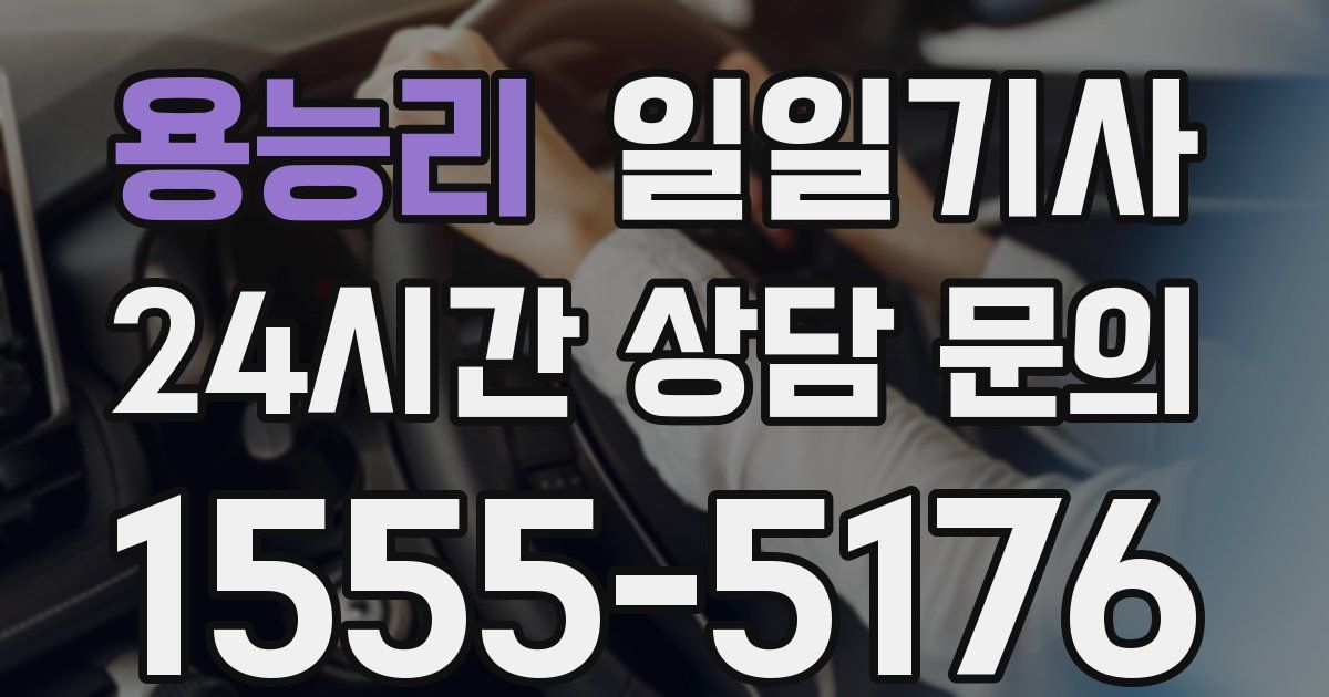일일대리기사