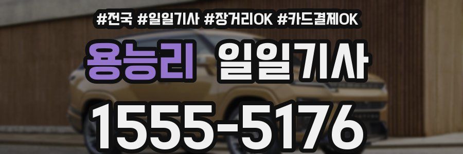 용능리 일일기사