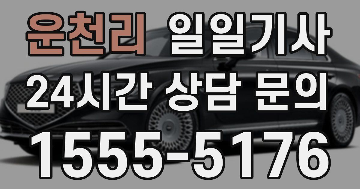 일일대리기사