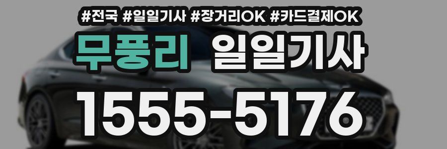 무풍리 일일기사