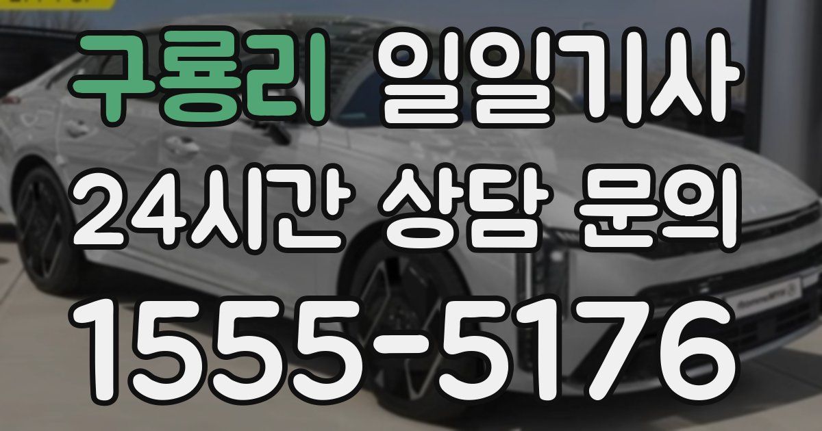 일일대리기사