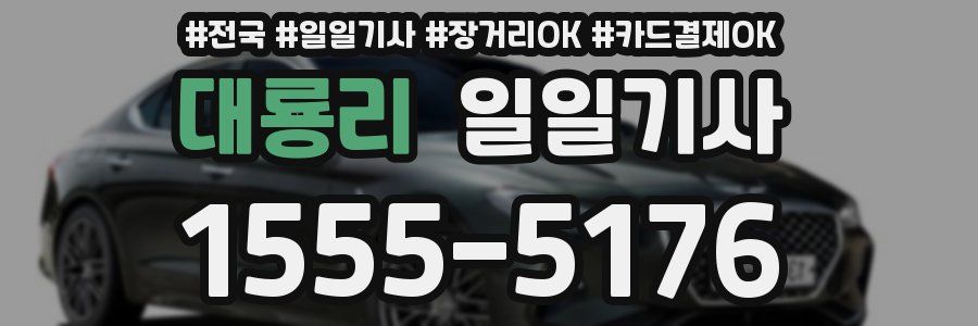 대룡리 일일기사