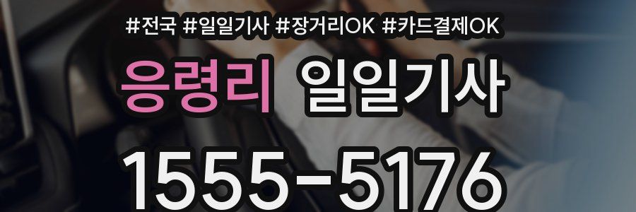 응령리 일일기사