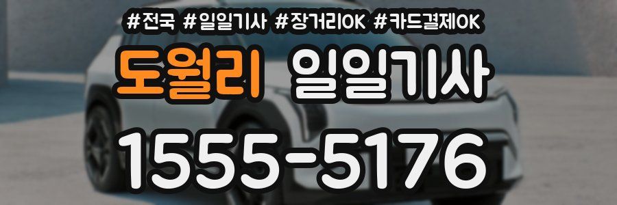 도월리 일일기사