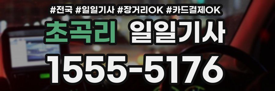 초곡리 일일기사