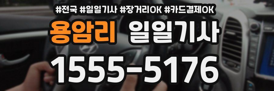 용암리 일일기사