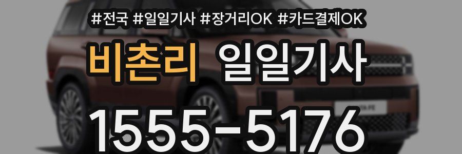 비촌리 일일기사