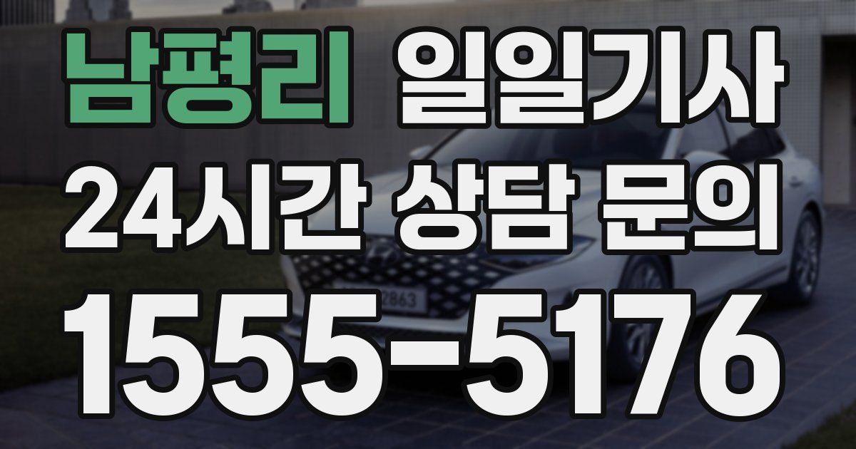 일일대리기사