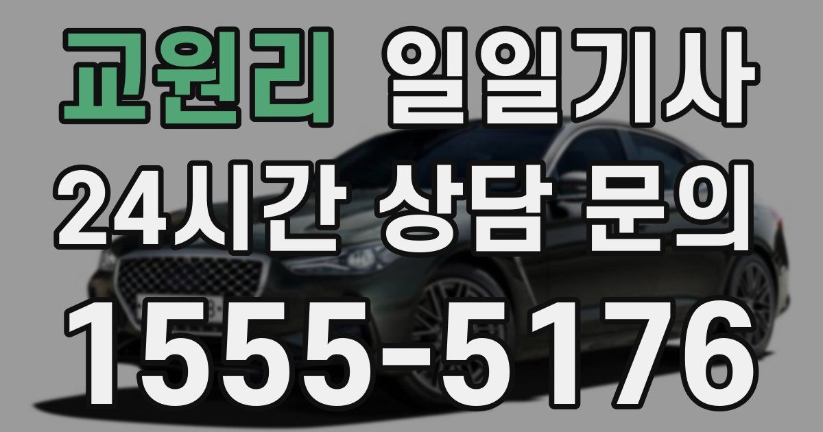 일일대리기사