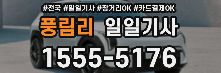 풍림리 일일기사