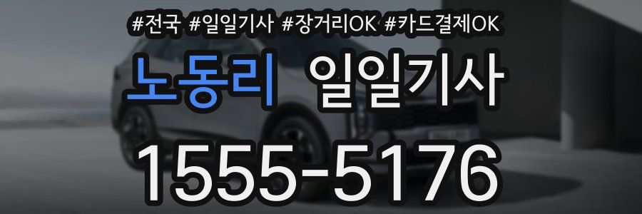 노동리 일일기사